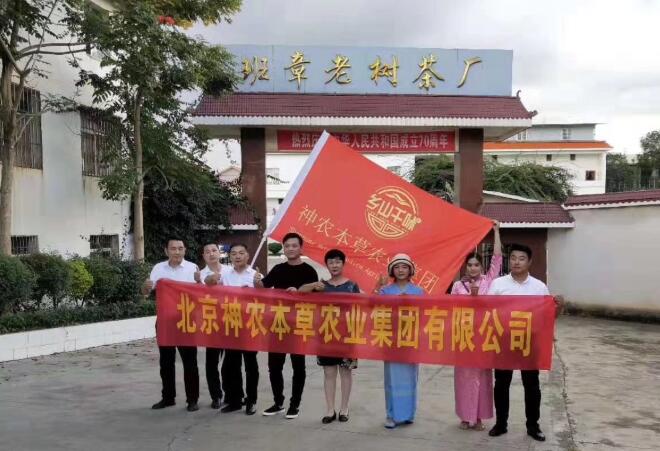老班章茶廠.jpg
