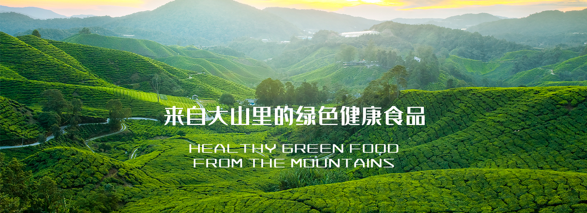 http://www.starys.cn/data/upload/202011/20201116172947_454.jpg