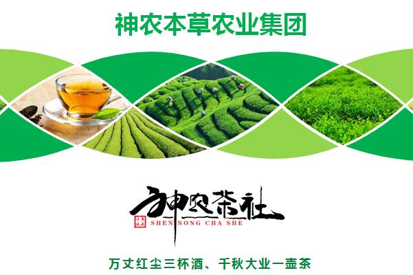 唐山加盟餐飲咨詢